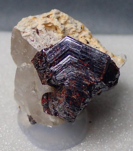 Rutilo<br />Kinyanfumbe, Zambia<br />2,3 x 1,5 x 1 cm<br /> (Autor: Frederic Varela)