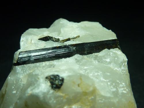 Turmalina (Grupo)<br />El Lobo Mine, Mesa del Poyato, Campanario-Quintana de la Serena, Comarca La Serena, Badajoz, Extremadura, Spain<br />Cristal de 20 x 4 mm<br /> (Autor: Joaquin Blanco)