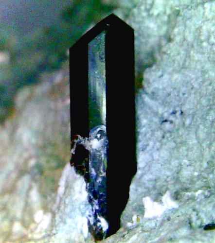 Neptunita<br />Mina California State Gem (Benitoite Gem Mine), Zona San Benito River headwaters, Pico Santa Rita, Distrito New Idria, Condado San Benito, California, USA<br />Cristal de 11 mm.<br /> (Autor: Antonio P. López)