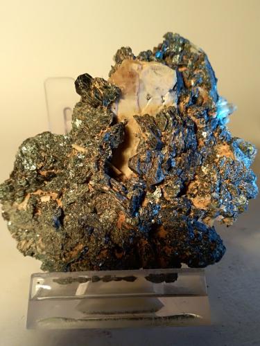 Titanite, Clinochlore<br />Rocca Sella, Almese, Susa Valley, Metropolitan City of Turin Province, Piedmont (Piemonte), Italy<br />64 x 63 mm<br /> (Author: Sante Celiberti)