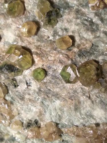 Andradite (variety topazolite)<br />Lago Nero, Usseglio, Val di Viù / Valle Viù, Valles Lanzo (Valli di Lanzo), Provincia Ciudad metropolitana de Turín, Piamonte (Piemonte), Italia<br />127 x 91 mm<br /> (Author: Sante Celiberti)