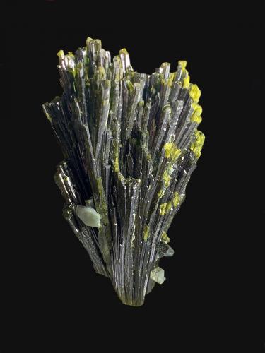 Epidota<br />Isla Prince of Wales, Distrito Ketchikan, Prince of Wales-Outer Ketchikan, Alaska, USA<br />4,8 x 3,0 cm.<br /> (Autor: Xavier bordas)