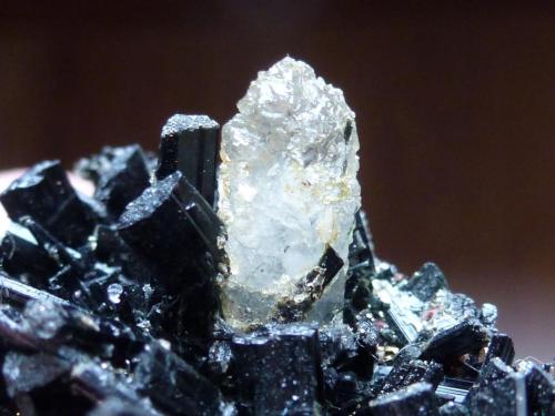 Ferro-actinolita y Calcita<br />Coto San Guillermo, Jerez de los Caballeros, Comarca Sierra Suroeste, Badajoz, Extremadura, España<br />6 x 4 cm. la pieza completa<br /> (Autor: javier ruiz martin)