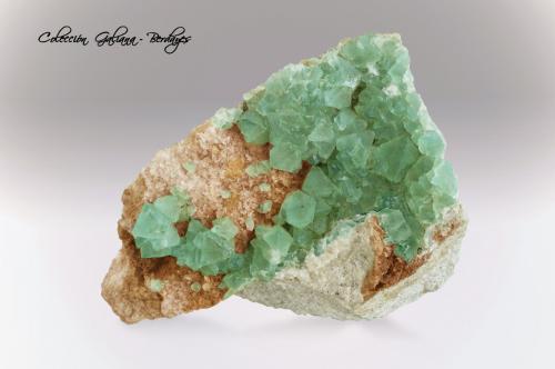 Fluorita<br />Pedrera Berta, Turó de Can Domènech, Serra de Roques Blanques, Sant Cugat del Vallès-El Papiol, Comarca Vallès Occidental / Baix Llobregat, Barcelona, Cataluña / Catalunya, España<br />89 x 70 x 44 mm.<br /> (Autor: Rafael Galiana)