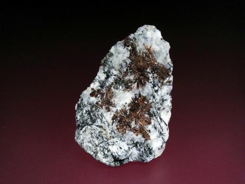 Astrofilita<br />Macizo Lovozero, Península Kola, Murmanskaja Oblast, Región del Norte, Rusia<br />7 x 4 cm.<br /> (Autor: Antonio P. López)