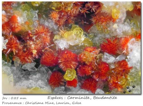 Carminite and Beudantite<br />Mina Christiana, Minas Kamariza, Agios Konstantinos, Distrito minero Lavrion, Prefectura Attikí (Attica), Grecia<br />fov 0.88 mm<br /> (Author: ploum)