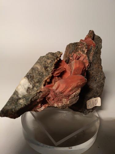 Heulandite-Ca<br />Drio le Pale, Buffaure, Moena, Trento Province, Trentino-Alto Adige (Trentino-Südtirol), Italy<br />The biggest crystal is 22,5 mm.<br /> (Author: Sante Celiberti)