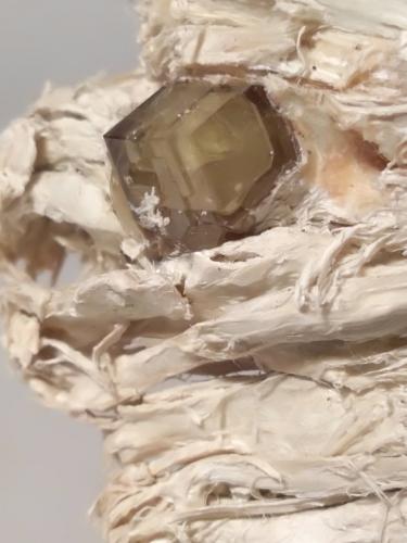 Andradite (variety demantoid), asbestos<br />Cantera Franscia, Lanzada, Valmalenco, Provincia Sondrio, Lombardía, Italia<br />79 x 38 mm<br /> (Author: Sante Celiberti)