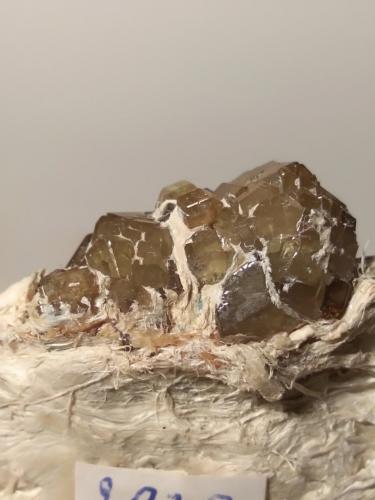 Andradite (variety demantoid), asbestos<br />Cantera Franscia, Lanzada, Valmalenco, Provincia Sondrio, Lombardía, Italia<br />79 x 38 mm<br /> (Author: Sante Celiberti)