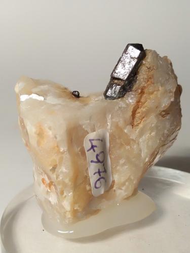 Rutile<br />Oropa, Provincia Biella, Piamonte (Piemonte), Italia<br />44 x 33 mm<br /> (Author: Sante Celiberti)