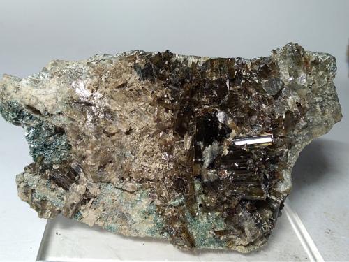 Vesuvianite<br />Bellecombe, Châtillon, Valle de Aosta (Val d'Aosta), Italia<br />97 x 58 mm<br /> (Author: Sante Celiberti)