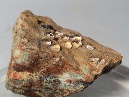 Melanoflogita<br />Fortullino, Rosignano Marittimo, Livorno Province, Tuscany, Italy<br />42,8 x 31,7 mm<br /> (Autor: Sante Celiberti)