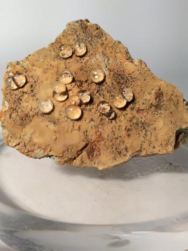Melanoflogita<br />Fortullino, Rosignano Marittimo, Livorno Province, Tuscany, Italy<br />42,8 x 31,7 mm<br /> (Autor: Sante Celiberti)