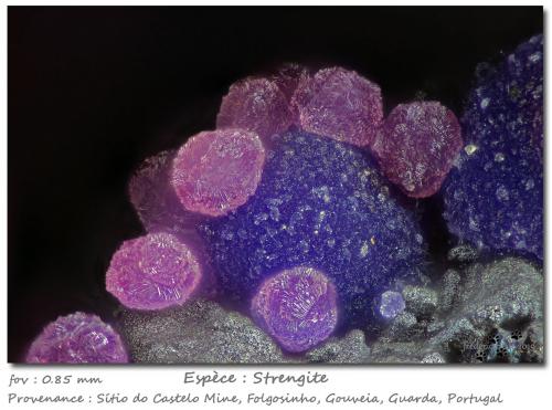 Strengite<br />Mina Sitio do Castelo (Cantera Folgosinho), Folgosinho, Gouveia, Distrito Guarda, Región Centro, Portugal<br />fov 0.85 mm<br /> (Author: ploum)