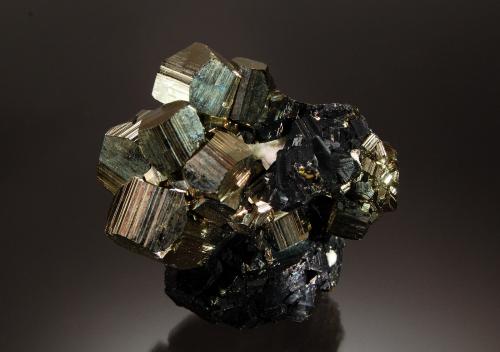 Pyrite and Sphalerite<br />Unidad minera Pachapaqui, Pachapaqui, Distrito Aquia, Provincia Bolognesi, Departamento Ancash, Perú<br />3.7 cm x 5.9 cm x 6.0 cm<br /> (Author: Michael Shaw)