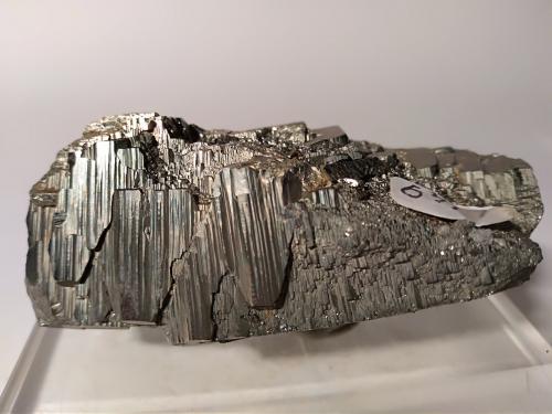 Pirita<br />Mina Gavorrano, Gavorrano, Provincia Grosseto, Toscana, Italia<br />65,8 x 30,5 mm<br /> (Autor: Sante Celiberti)
