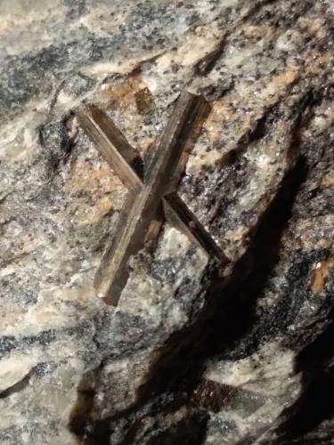 Arsenopirita<br />Monte Arsiccio Mine, Sant'Anna (Sant'Anna di Stazzema), Apuan Alps, Stazzema Municipality, Lucca Province, Tuscany, Italy<br />56 x 55 mm<br /> (Autor: Sante Celiberti)