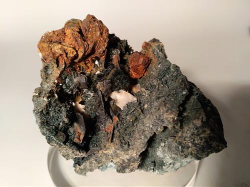 Biotite<br />Montes Monzoni, Valle Fassa, Provincia Trento, Trentino-Alto Adige (Trentino-Südtirol), Italia<br />70,6 x 61 mm<br /> (Author: Sante Celiberti)