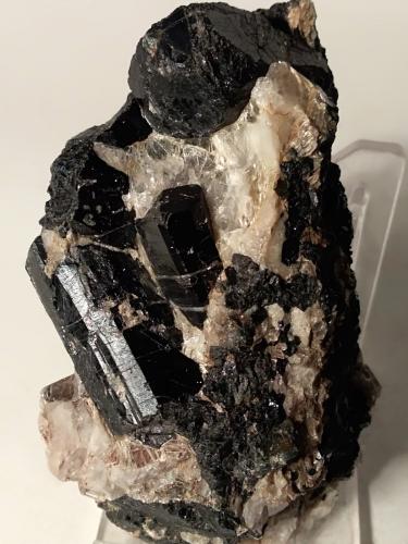 Schorl, Muscovite<br />Piona Peninsula, Colico, Lecco Province, Lombardy/Lombardia, Italy<br />80 x 52 mm<br /> (Author: Sante Celiberti)