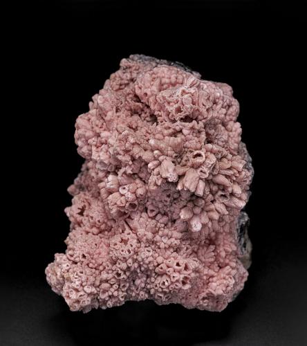 Rhodochrosite<br />Mina Oppu, Nishimeya-mura, Distrito Nakatsugaru, Prefectura Aomori, Región Tohoku, Isla Honshu, Japón<br />8.7 x 7.2 cm<br /> (Author: am mizunaka)