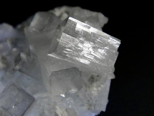 Fluorapophyllita-(K) (Apofilita)<br />Mumbai (Bombay), Distrito Mumbai, Maharashtra, India<br />Cristal de 1,5 cm.<br /> (Autor: Antonio P. López)