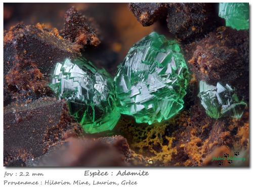 Adamite (variety cuprian)<br />Mina Hilarion, Zona Hilarion, Minas Kamariza, Agios Konstantinos, Distrito minero Lavrion, Prefectura Attikí (Attica), Grecia<br />fov 2.2 mm<br /> (Author: ploum)