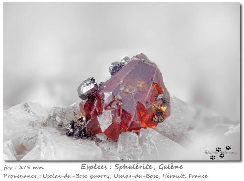 Sphalerite and Galena<br />Cantera Usclas-du-Bosc, Le Bosc, Cantón Lodève, Distrito Lodève, Hérault, Occitanie, Francia<br />3.75 mm<br /> (Author: ploum)