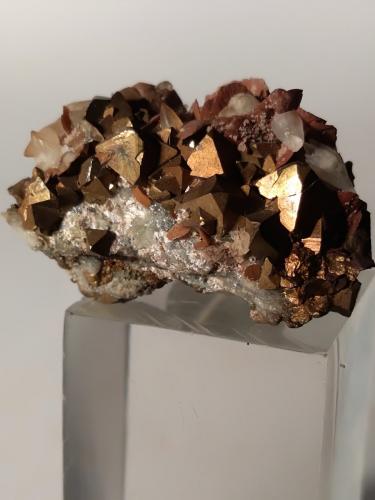 Pyrite, Talc, Calcite, Siderite, Baryte<br />Mina Brosso, Cálea, Léssolo, Distrito Canavese, Provincia Ciudad metropolitana de Turín, Piamonte (Piemonte), Italia<br />22,5 x 14 mm<br /> (Author: Sante Celiberti)