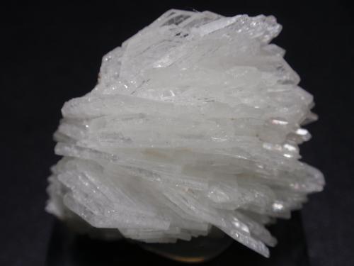 Albita (variedad cleavelandita)<br />Minas Gerais, Brazil<br />40x30 mm<br /> (Autor: Ignacio)