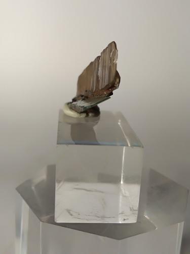 Quartz (variety smoky)<br />Monte Cervandone, Devero Alp, Baceno, Ossola Valley, Verbano-Cusio-Ossola Province, Piedmont (Piemonte), Italy<br />35 x 14 mm<br /> (Author: Sante Celiberti)