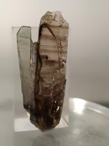 Quartz (variety smoky)<br />Monte Cervandone, Alpe Devero, Baceno, Valle Ossola, Provincia Verbano-Cusio-Ossola, Piamonte (Piemonte), Italia<br />35 x 14 mm<br /> (Author: Sante Celiberti)