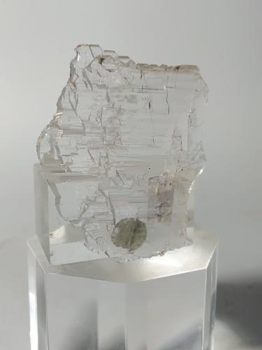 Quartz<br />Miage Glacier, Veny Valley, Monte Bianco Massif (Mont Blanc Massif), Courmayeur, Aosta Valley (Val d'Aosta), Italy<br />41,6 x 35,5 x 3,4 mm<br /> (Author: Sante Celiberti)