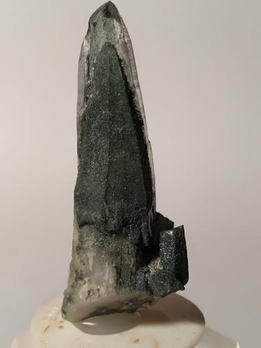 Quartz, (Chlorite Group)<br />Brenva Glacier, Veny Valley, Monte Bianco Massif (Mont Blanc Massif), Courmayeur, Aosta Valley (Val d'Aosta), Italy<br />51 x 27 mm<br /> (Author: Sante Celiberti)