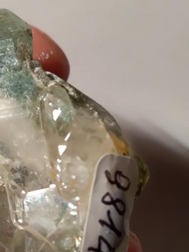 Quartz (variety faden), Chlorite (Group)<br />Triolet Glacier, Ferret Valley, Les Grandes Jorasses Massif, Courmayeur, Aosta Valley (Val d'Aosta), Italy<br />61 x 37 mm<br /> (Author: Sante Celiberti)
