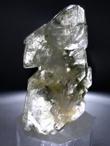 Quartz (variety faden), Chlorite (Group)<br />Triolet Glacier, Ferret Valley, Les Grandes Jorasses Massif, Courmayeur, Aosta Valley (Val d'Aosta), Italy<br />61 x 37 mm<br /> (Author: Sante Celiberti)