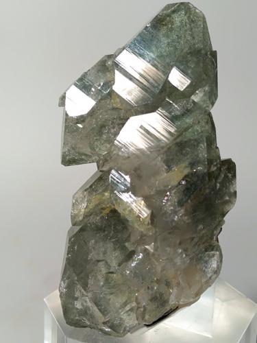 Quartz (variety smoky), Chlorite (Group)<br />Triolet Glacier, Ferret Valley, Les Grandes Jorasses Massif, Courmayeur, Aosta Valley (Val d'Aosta), Italy<br />61 x 37 mm<br /> (Author: Sante Celiberti)