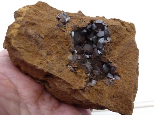 Siderita<br />Iron mines of Ojos Negros, Ojos Negros, Comarca Jiloca, Teruel, Aragon, Spain<br />12 x 7 cm.<br /> (Autor: javier ruiz martin)