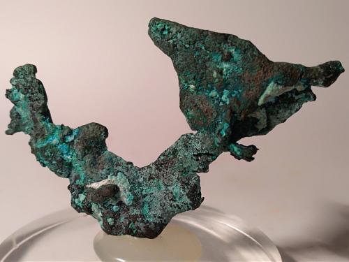 Cobre, Malaquita<br />Campiglia Marittima, Campigliese, Provincia Livorno, Toscana, Italia<br />75 x 47 mm<br /> (Autor: Sante Celiberti)