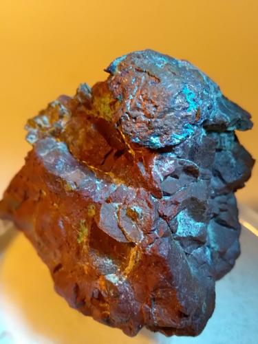 Cobre<br />Mina Montecatini, Montecatini Val di Cecina, Provincia Pisa, Toscana, Italia<br />42 x 40 mm<br /> (Autor: Sante Celiberti)