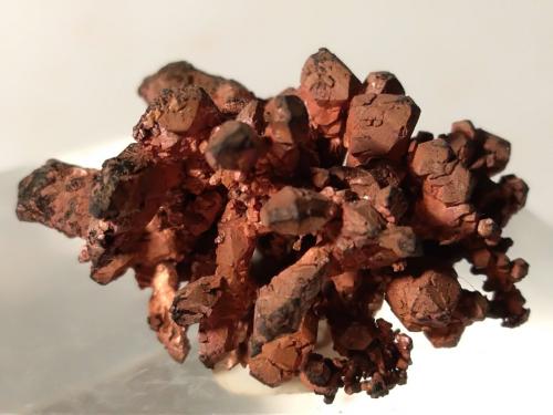 Cobre<br />Cabo Calamita, Capoliveri, Isla de Elba, Provincia Livorno, Toscana, Italia<br />25,6 x 20 mm<br /> (Autor: Sante Celiberti)