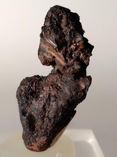 Cobre<br />Cantera Conventino, Anghiari (Monti Rognosi), Sansepolcro, Provincia Arezzo, Toscana, Italia<br />35 x 20 mm<br /> (Autor: Sante Celiberti)