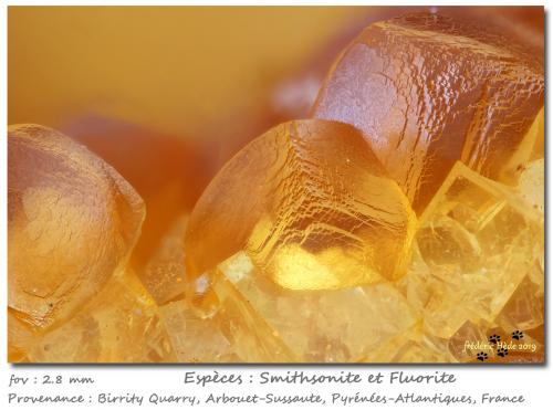 Smithsonite and Fluorite<br />Birrity Quarry, Arbouet-Sussaute, Pyrénées-Atlantiques, Nouvelle-Aquitaine, France<br />fov 2.8 mm<br /> (Author: ploum)