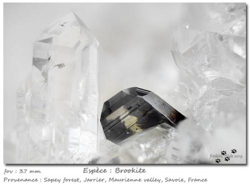 Brookite and Quartz<br /><br />fov 3.6 mm<br /> (Author: ploum)