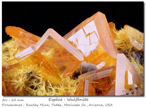 Wulfenite with Mimetite<br />Rowley Mine, Theba, Painted Rock District, Painted Rock Mountains, Maricopa County, Arizona, USA<br />fov 11 mm<br /> (Author: ploum)