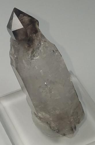 Quartz (variety smoky and reverse scepter)<br />Smoky Mountain Crystal Mine, Ashland, Schuylkill County, Pennsylvania, USA<br />5.3 cm x 1.3 cm<br /> (Author: kushmeja)