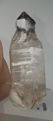 Quartz (variety smoky and reverse scepter)<br />Smoky Mountain Crystal Mine, Ashland, Schuylkill County, Pennsylvania, USA<br />5.3 cm x 1.3 cm<br /> (Author: kushmeja)