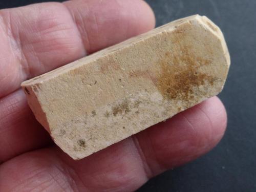 Ortoclasa, Microclina<br />Isabel Quarry (La Saludadora Quarry), La Cabrera pluton, Valdemanco, Comarca Sierra de Guadarrama, Community of Madrid, Spain<br />4,5 x 2,4 cm.<br /> (Autor: javier ruiz martin)