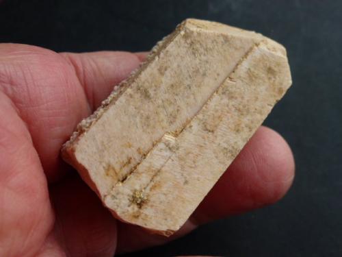 Ortoclasa, Microclina<br />Isabel Quarry (La Saludadora Quarry), La Cabrera pluton, Valdemanco, Comarca Sierra de Guadarrama, Community of Madrid, Spain<br />4,5 x 2,4 cm.<br /> (Autor: javier ruiz martin)