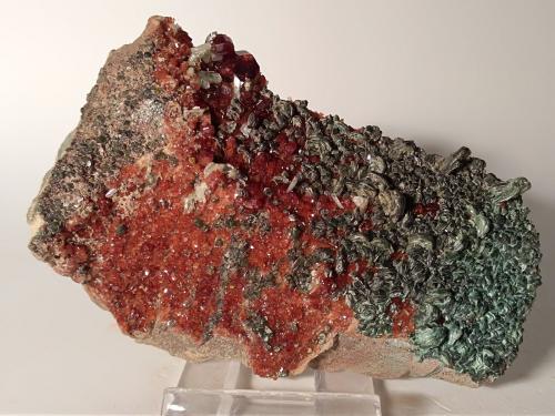 Grossular (variety hessonite), Diopside, Clinochlore<br />Susa Valley, Metropolitan City of Turin Province, Piedmont (Piemonte), Italy<br />106,6 x 65 mm<br /> (Author: Sante Celiberti)