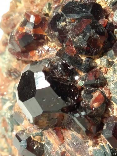 Grossular (variety hessonite), Clinochlore<br />Paso Faiallo, Urbe, Provincia Savona, Liguria, Italia<br />78 x 48 mm<br /> (Author: Sante Celiberti)